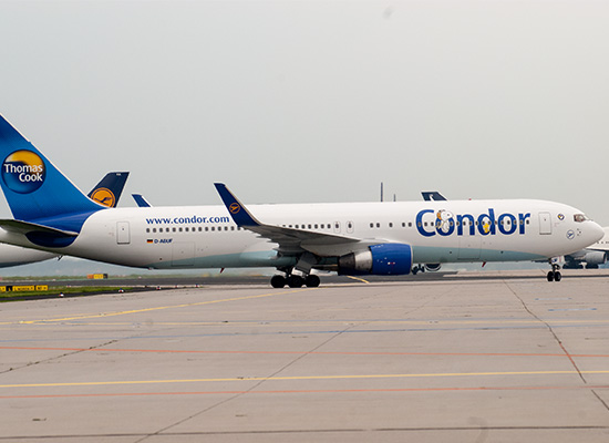 Condor